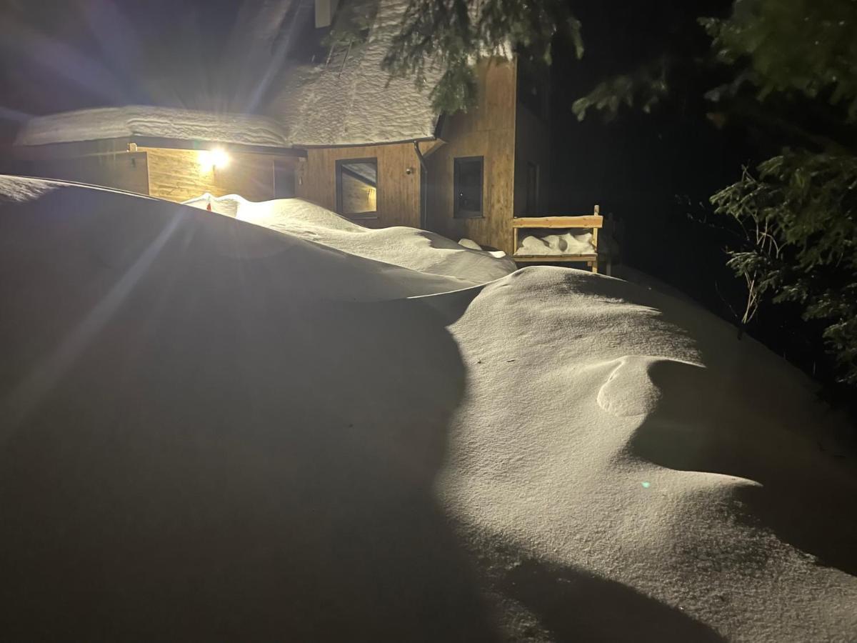 Chalet Fimili Vyšná Boca エクステリア 写真