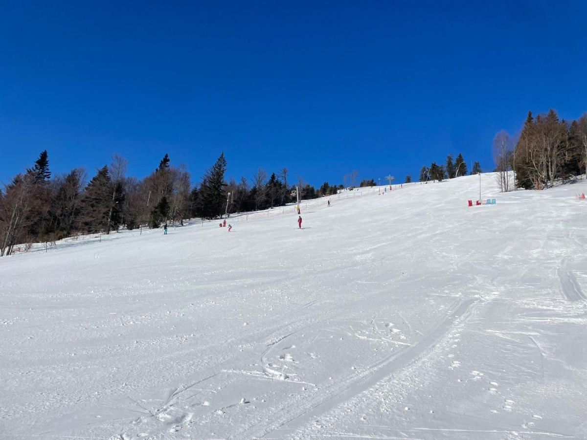 Chalet Fimili Vyšná Boca エクステリア 写真